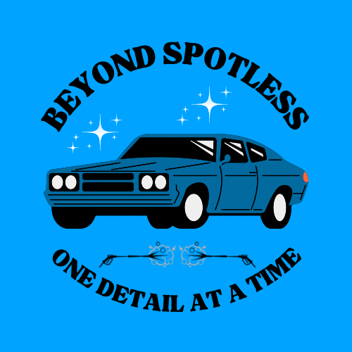 Beyond Spotless Logo